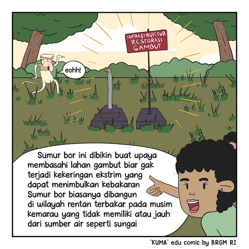Image 2 - 13
